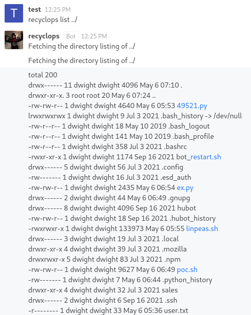 Performing a directory traversal attack against the bot